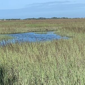 Meet your Posher, Brenna